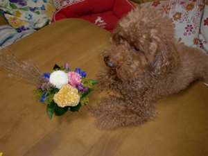 9月２８日 013.JPG